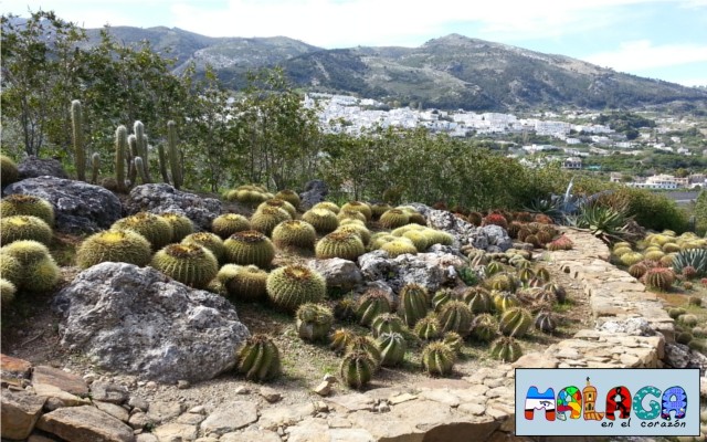 Jardín Botánico de Cactus y otras Suculentas 